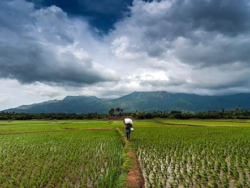 Telangana government and UNDP unite on the&nbsp;DiCRA