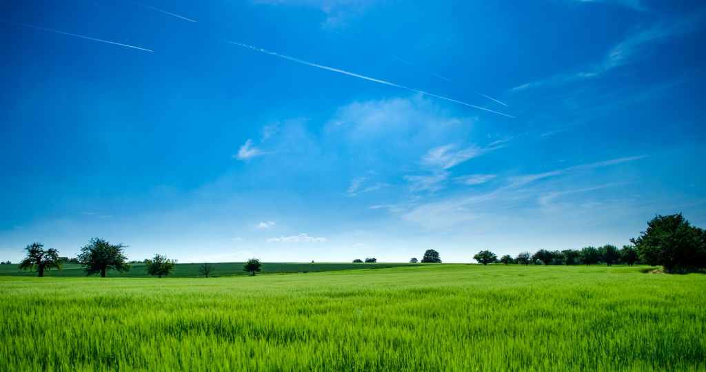 Holy land