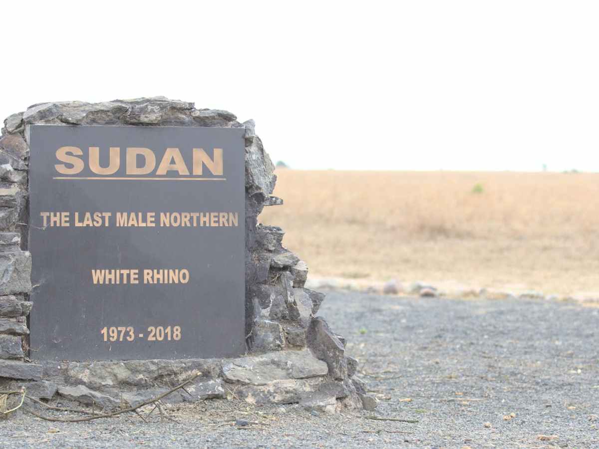 RJMEC urges RTGoNU to adopt final roadmap for implementation, set date for graduation of&nbsp;forces