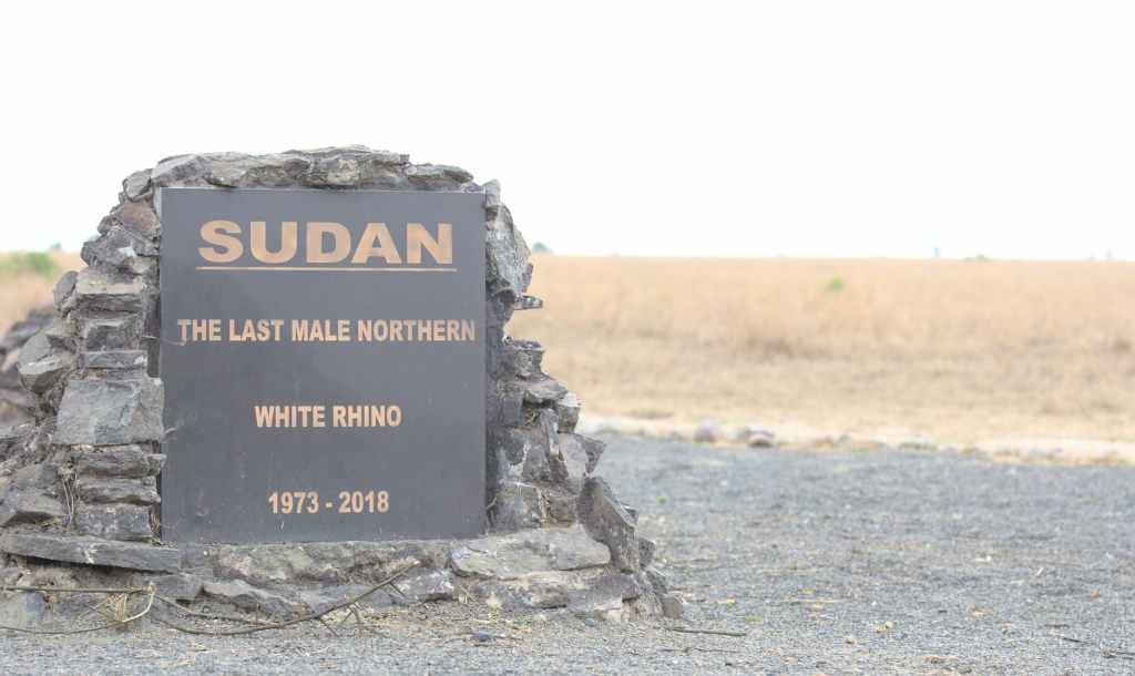 RJMEC urges RTGoNU to adopt final roadmap for implementation, set date for graduation of&nbsp;forces